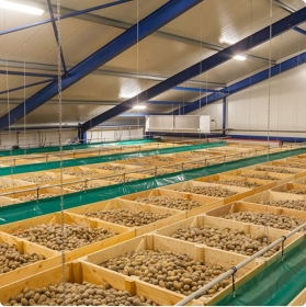 Agriculture, Horticulture & Floriculture Sector